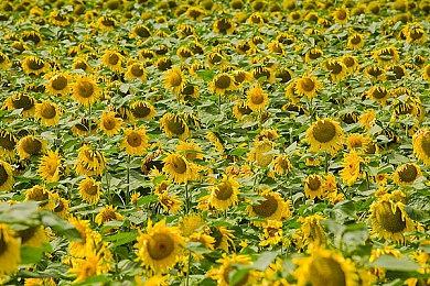 同名悬疑剧改编游戏《隐秘的角落》上线Steam 发售时间待定